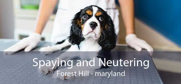 Spaying and Neutering Forest Hill - maryland
