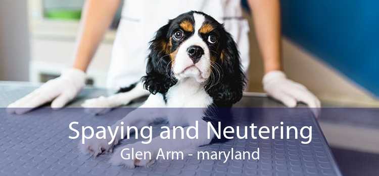 Spaying and Neutering Glen Arm - maryland