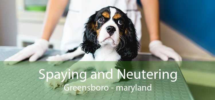 Spaying and Neutering Greensboro - maryland