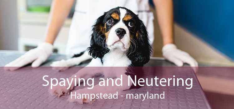 Spaying and Neutering Hampstead - maryland