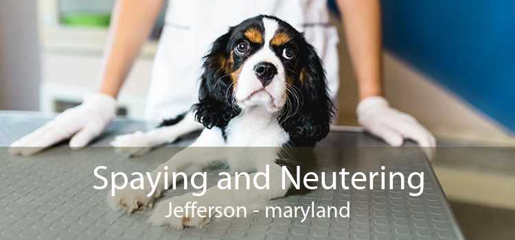 Spaying and Neutering Jefferson - maryland