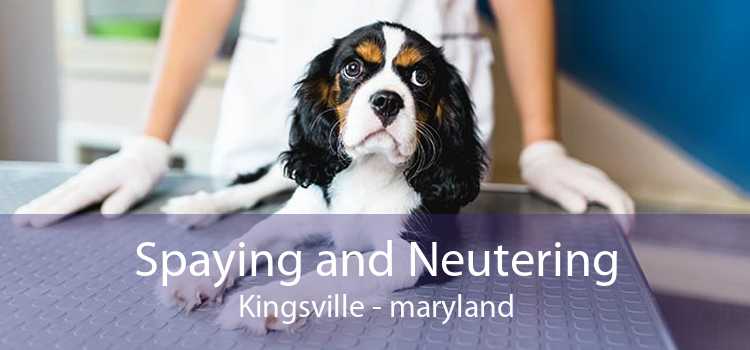 Spaying and Neutering Kingsville - maryland