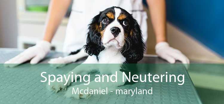Spaying and Neutering Mcdaniel - maryland