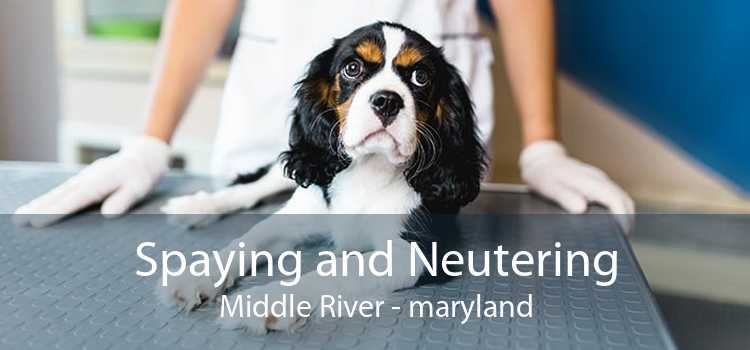 Spaying and Neutering Middle River - maryland