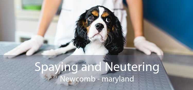 Spaying and Neutering Newcomb - maryland