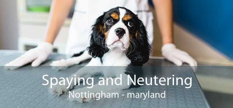 Spaying and Neutering Nottingham - maryland