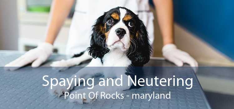 Spaying and Neutering Point Of Rocks - maryland