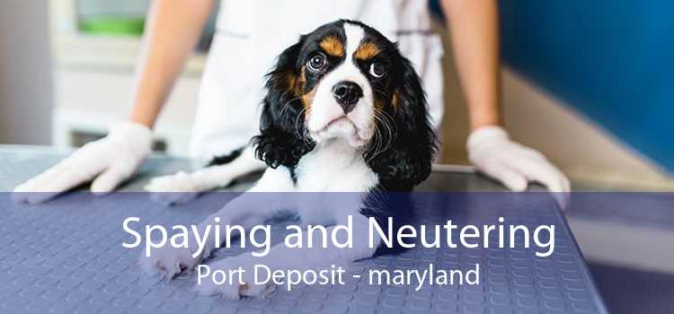 Spaying and Neutering Port Deposit - maryland