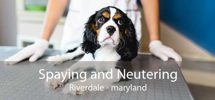 Spaying and Neutering Riverdale - maryland