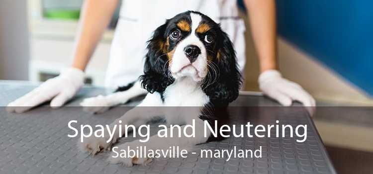 Spaying and Neutering Sabillasville - maryland