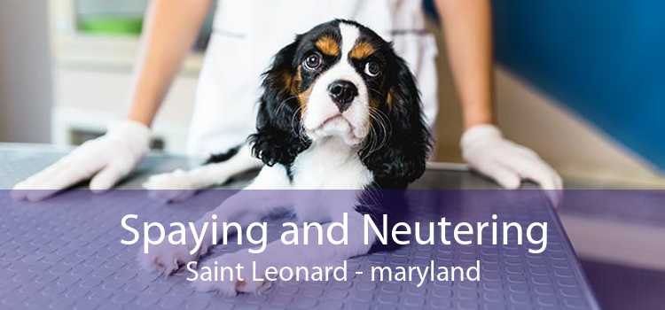 Spaying and Neutering Saint Leonard - maryland