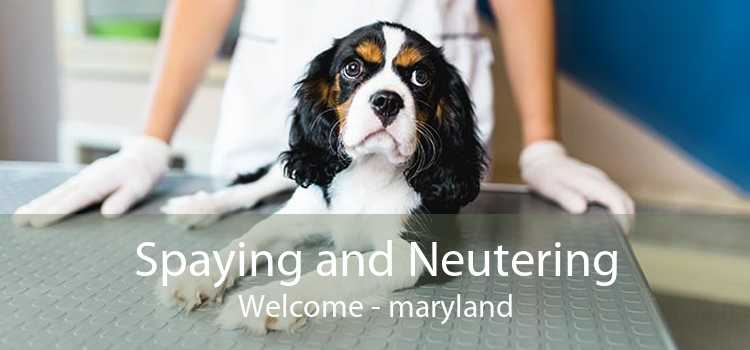Spaying and Neutering Welcome - maryland
