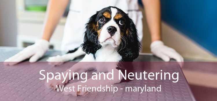 Spaying and Neutering West Friendship - maryland