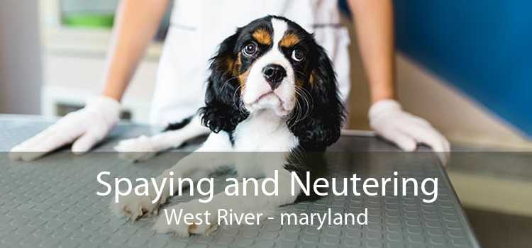 Spaying and Neutering West River - maryland