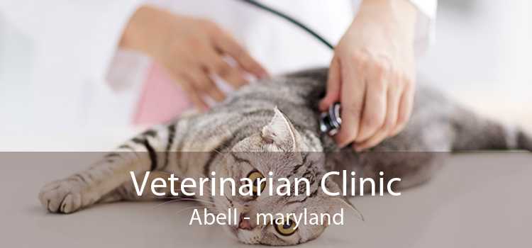 Veterinarian Clinic Abell - maryland
