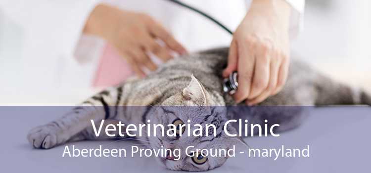 Veterinarian Clinic Aberdeen Proving Ground - maryland