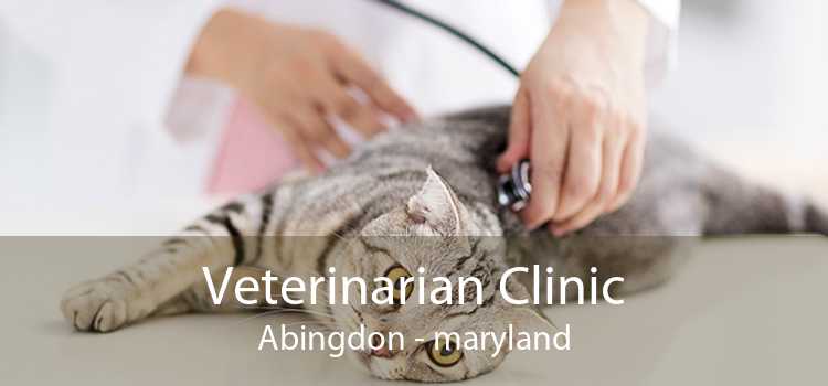 Veterinarian Clinic Abingdon - maryland