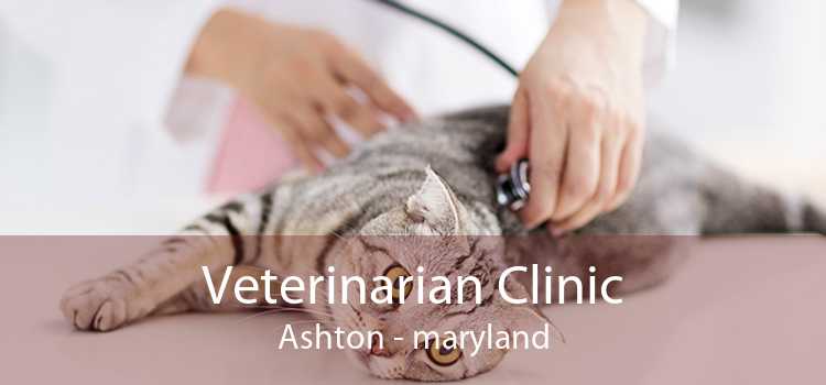 Veterinarian Clinic Ashton - maryland