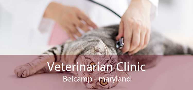 Veterinarian Clinic Belcamp - maryland