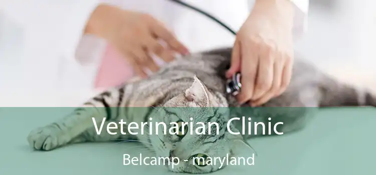 Veterinarian Clinic Belcamp - maryland