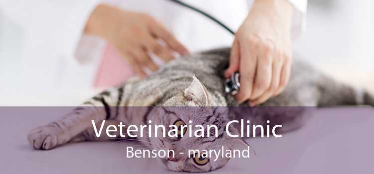 Veterinarian Clinic Benson - maryland