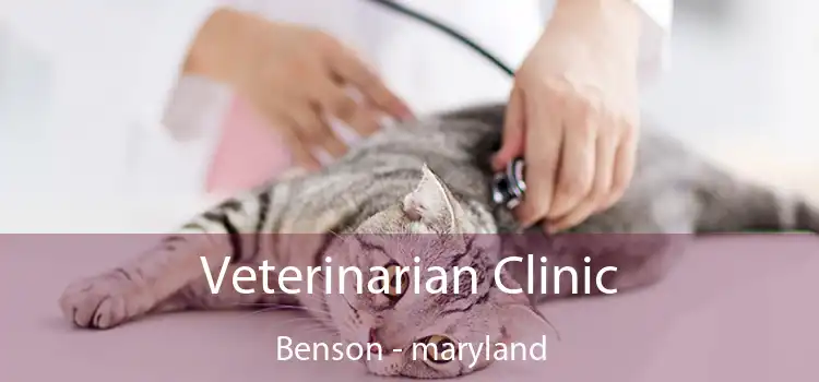 Veterinarian Clinic Benson - maryland