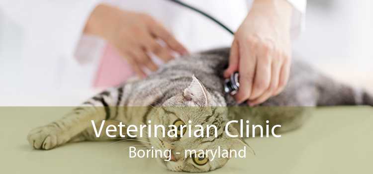 Veterinarian Clinic Boring - maryland