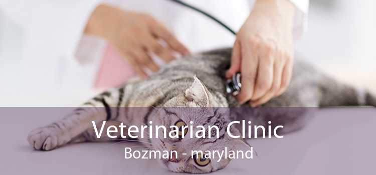 Veterinarian Clinic Bozman - maryland