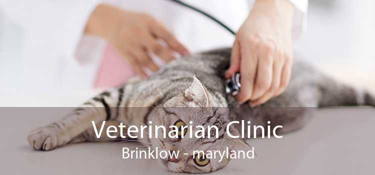 Veterinarian Clinic Brinklow - maryland