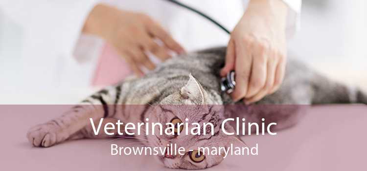 Veterinarian Clinic Brownsville - maryland