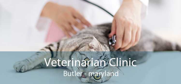 Veterinarian Clinic Butler - maryland