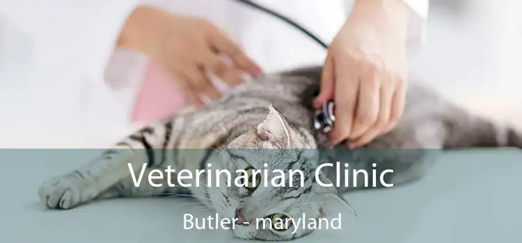 Veterinarian Clinic Butler - maryland