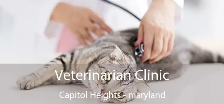 Veterinarian Clinic Capitol Heights - maryland