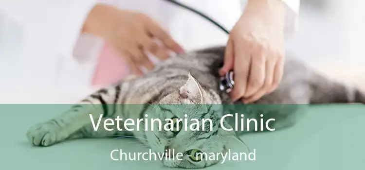 Veterinarian Clinic Churchville - maryland