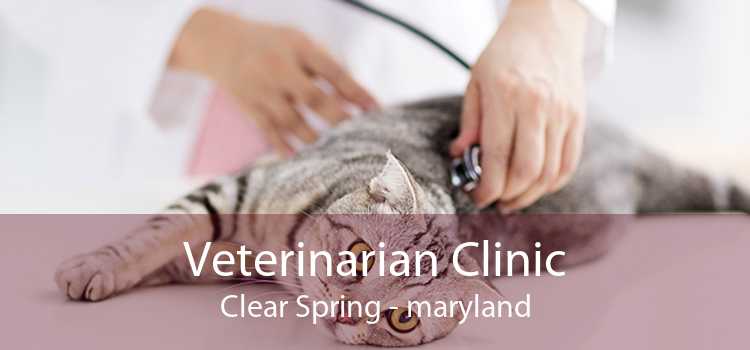 Veterinarian Clinic Clear Spring - maryland
