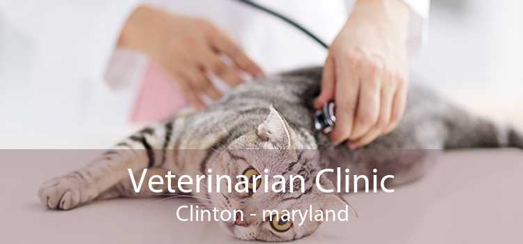 Veterinarian Clinic Clinton - maryland