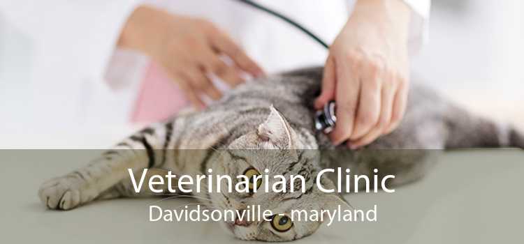 Veterinarian Clinic Davidsonville - maryland