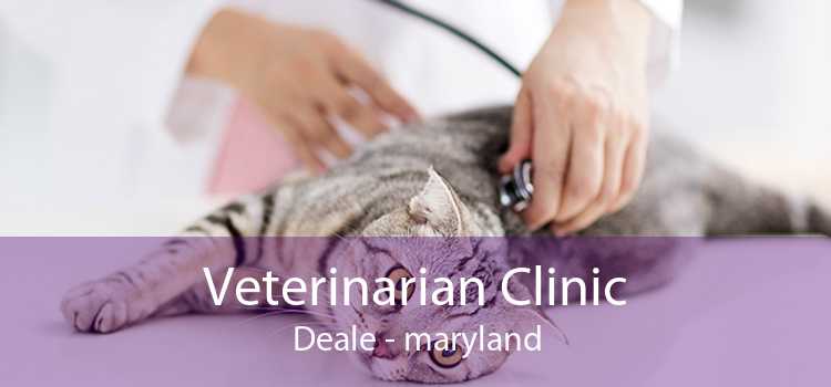 Veterinarian Clinic Deale - maryland