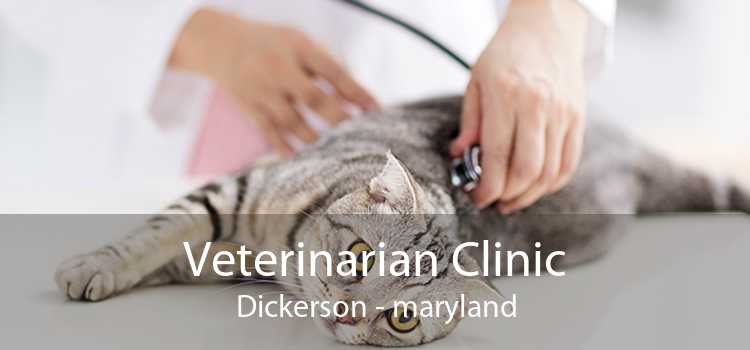 Veterinarian Clinic Dickerson - maryland