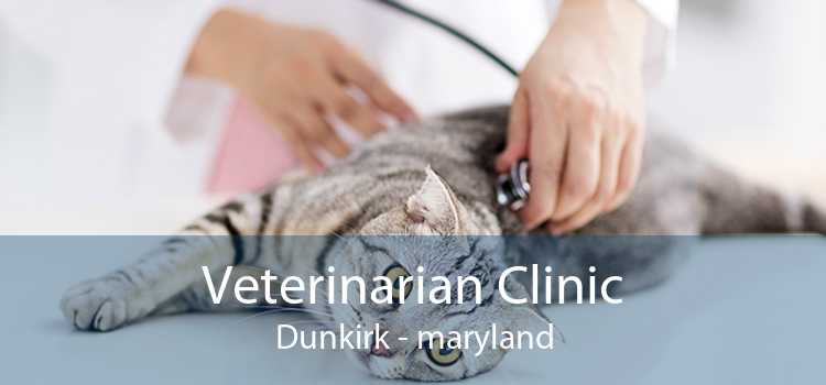 Veterinarian Clinic Dunkirk - maryland