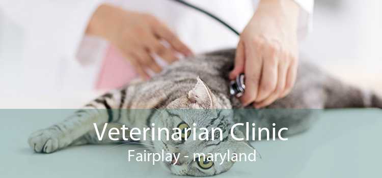 Veterinarian Clinic Fairplay - maryland