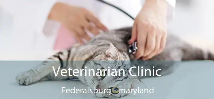 Veterinarian Clinic Federalsburg - maryland