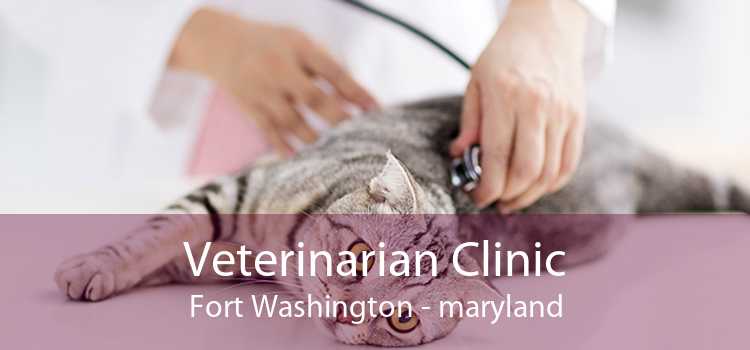Veterinarian Clinic Fort Washington - maryland
