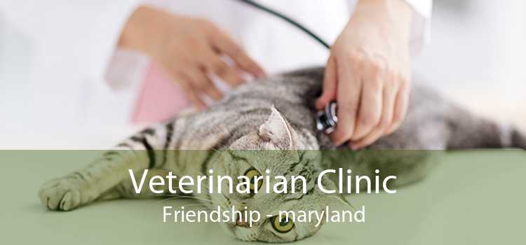 Veterinarian Clinic Friendship - maryland