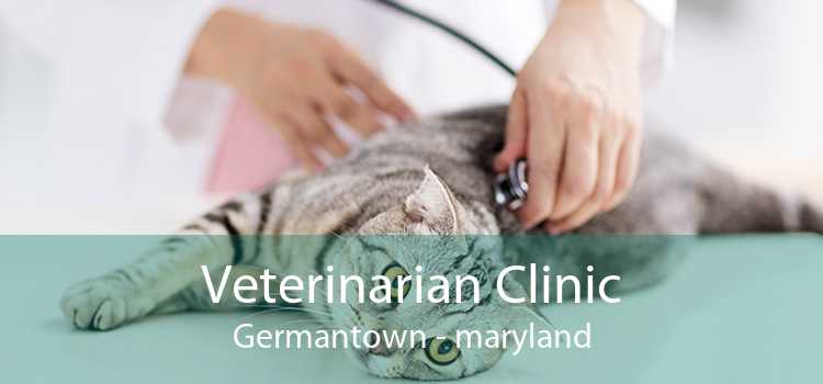 Veterinarian Clinic Germantown - maryland