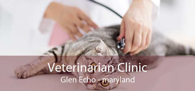 Veterinarian Clinic Glen Echo - maryland