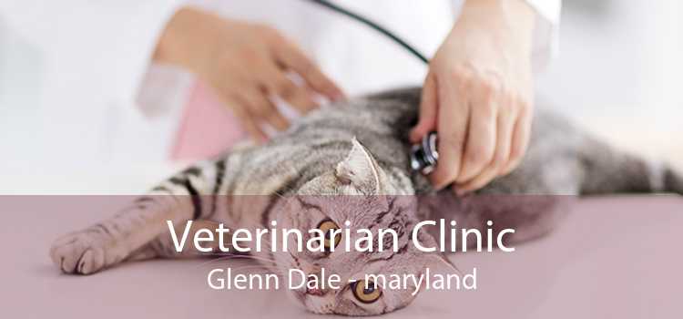 Veterinarian Clinic Glenn Dale - maryland