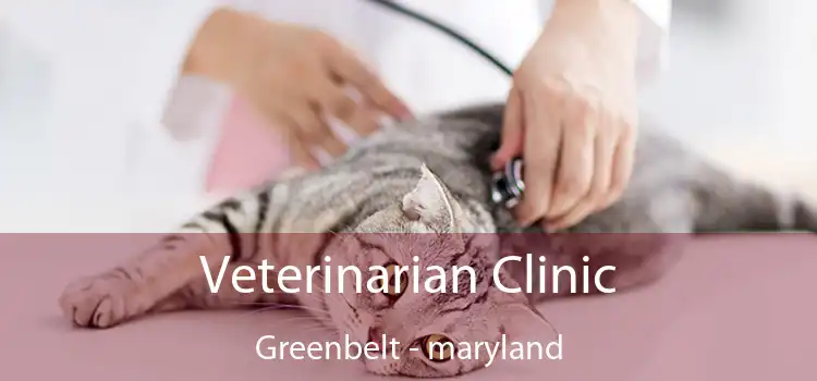 Veterinarian Clinic Greenbelt - maryland