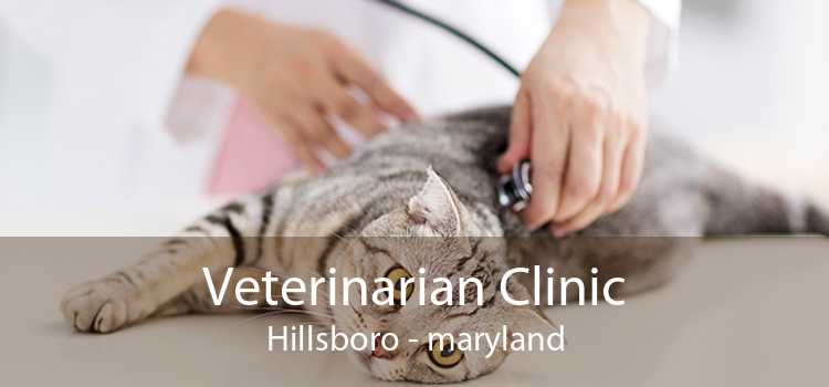 Veterinarian Clinic Hillsboro - maryland