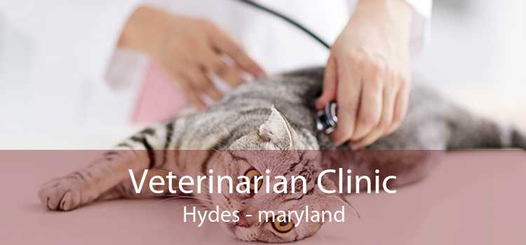 Veterinarian Clinic Hydes - maryland